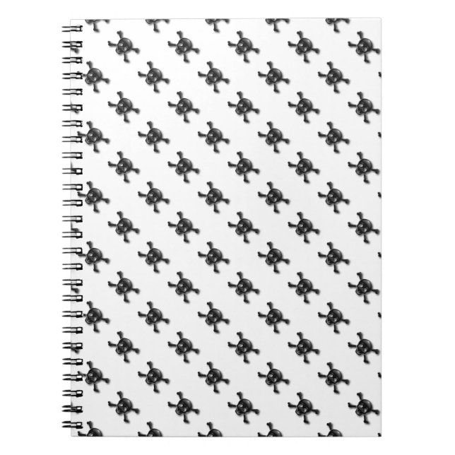 Carnet Crâne et os croisés (Devant)