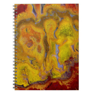 Carnet Crayola Jasper