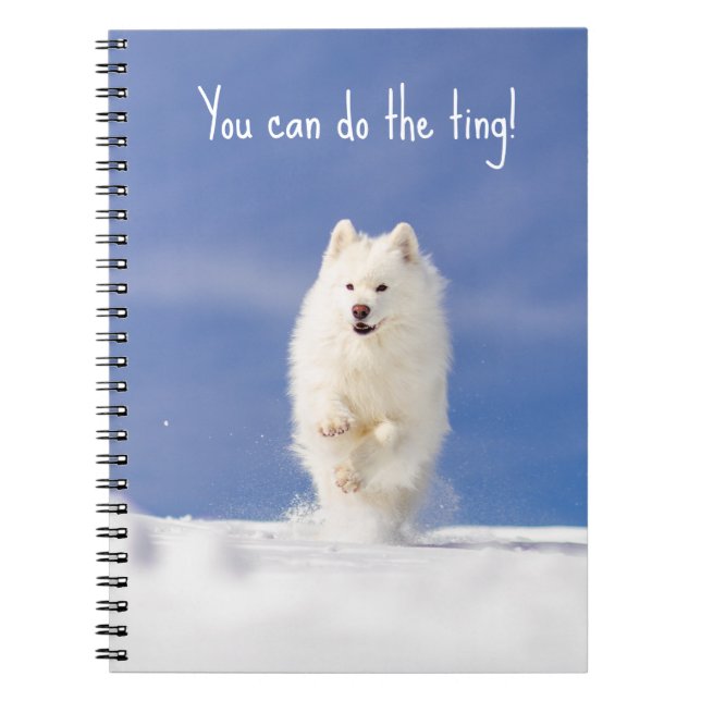 Carnet CRB Snow Bear Notebook (Devant)