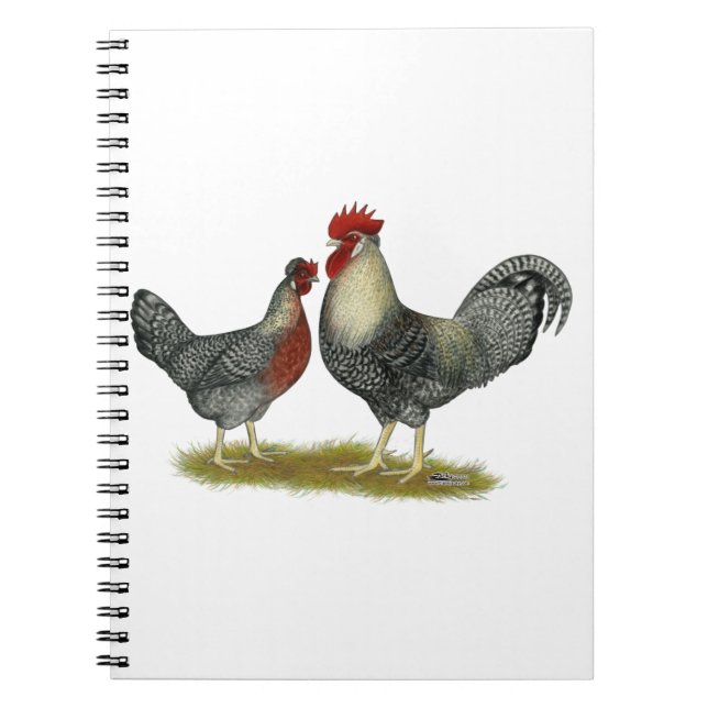 Carnet Cream Legbar Chickens (Devant)