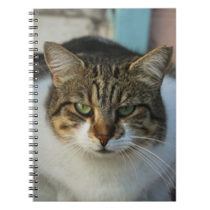 Carnet Créez Votre Propre Photo de Animal de Compagnie Ca