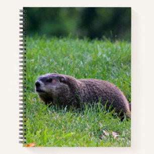 Carnet Creuseur du trou du diable