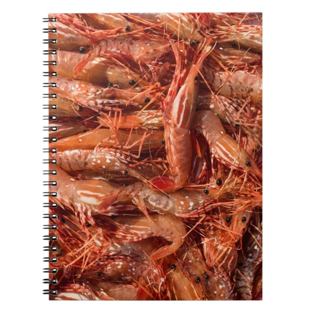 Carnet Crevettes roses délicieuses (Devant)