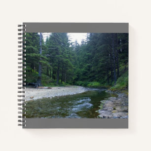 Carnet Crique de Cummins au parc national Neptune, OU