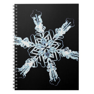 Carnet Cristal stellaire de neige