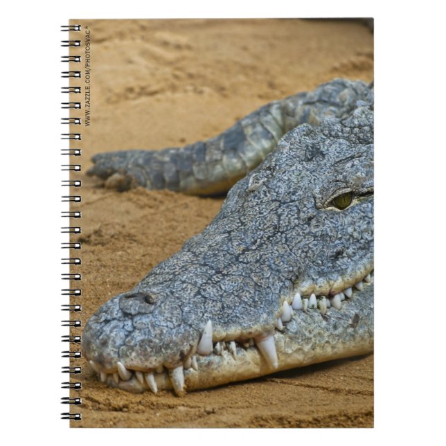 Carnet Crocodile (Devant)