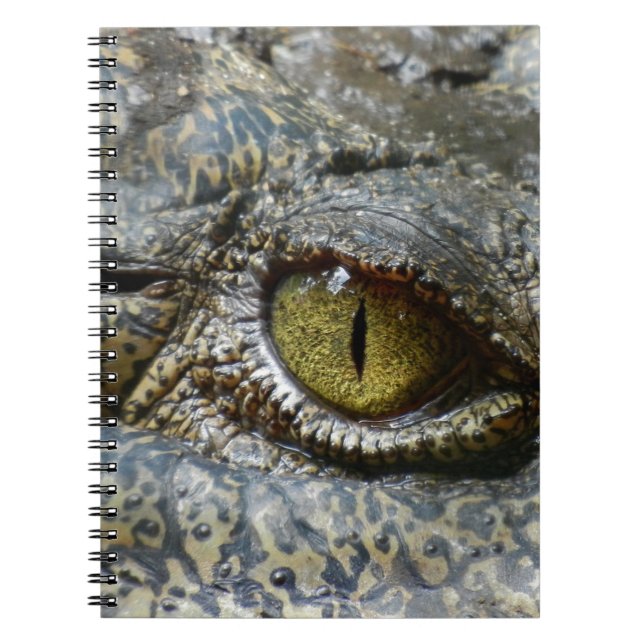 Carnet crocodile (Devant)
