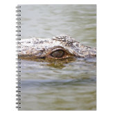 Carnet Cute crocodile love kawaii cartoon kids