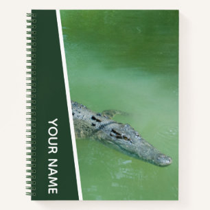 Carnet Crocodile qui nage en Australie, vert