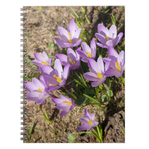 Carnet Crocus de printemps mignons