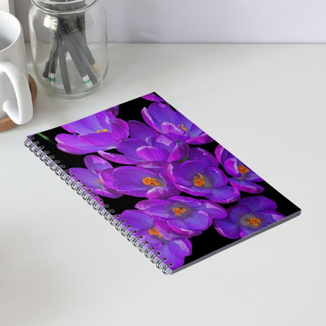 Carnet Crocus de printemps violets sur fond floral noir (In Situ)