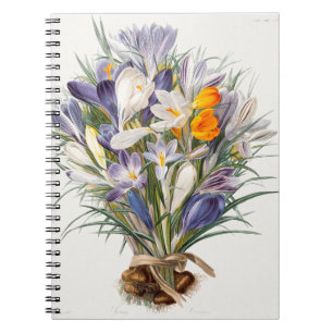 Carnet Crocus Spring Flower Botanique Floral Art