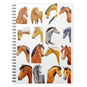 Carnet Croquis de chevaux
