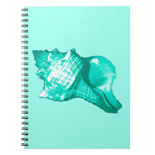 Carnet Croquis en coquille de conc - turquoise, blanche e (Devant)