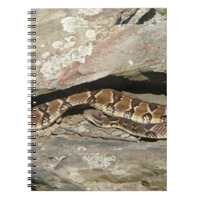 Carnet Crotale à Shenandoah National Park (Devant)