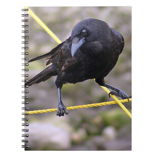 Carnet Crow à la croisée des chemins (Devant)