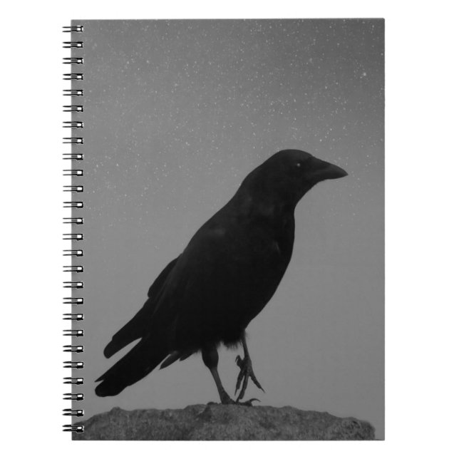 Carnet Crow Une Nuit Étincelante (Devant)