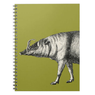 Carnet Cru sauvage de Warthog de porc de verrat de porc
