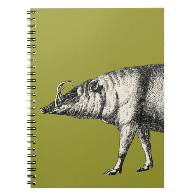 Carnet Cru sauvage de Warthog de porc de verrat de porc (Devant)