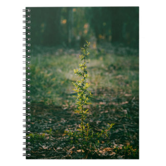 Carnet Cuaderno con fotografía de naturaleza