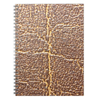 Cuir naturel couverture texture abstraite, âgée,