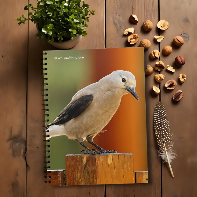 Carnet Curious Clark's Nutcracker (Curious Clark's Nutcracker Journal Cover Photo)