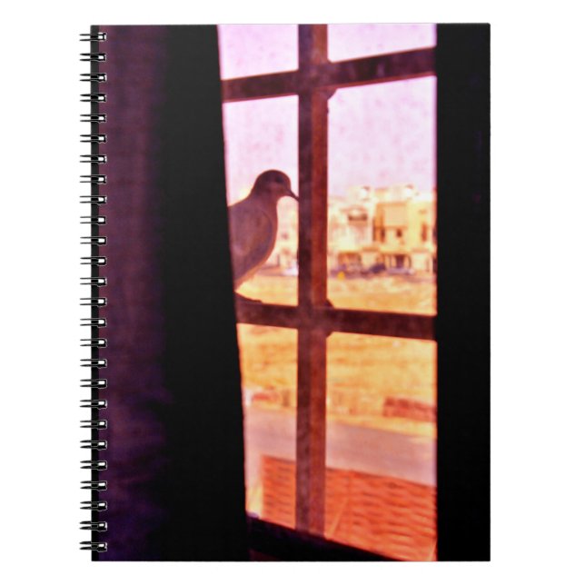 Carnet Curious Dove (Devant)