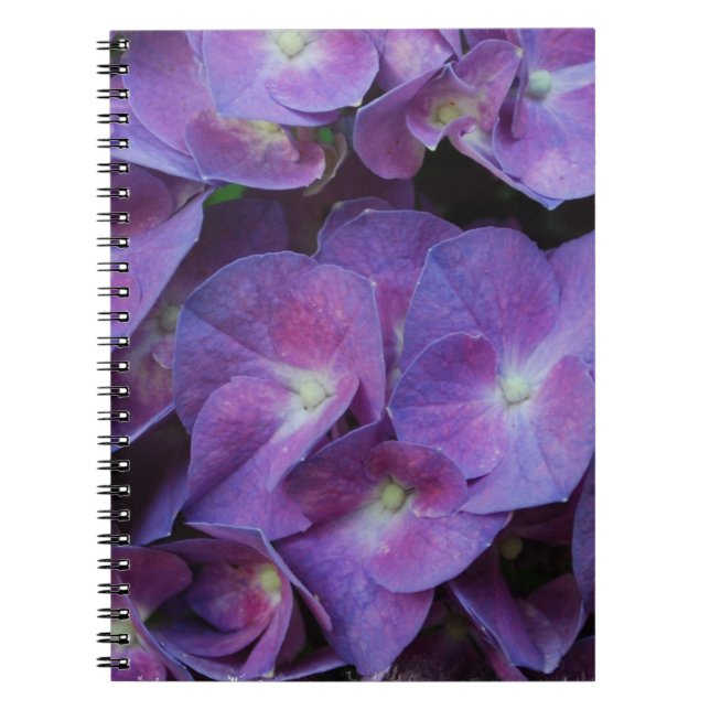 Carnet - customisé (Devant)