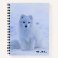 Cute Arctic Fox sur Snowy Winter Arrière - plan