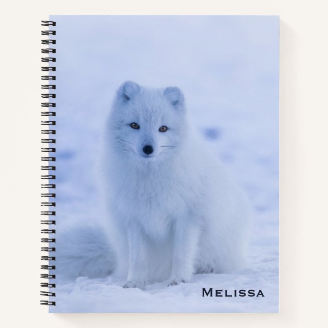 Carnet Cute Arctic Fox sur Snowy Winter Arrière - plan (Devant)