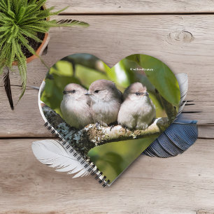 Carnet Cute Baby Bushtit Songbirds