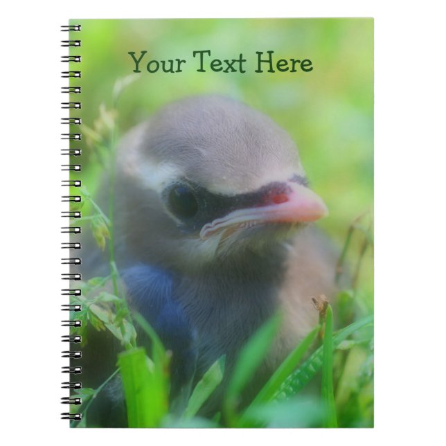 Carnet Cute Baby Waxwing Bird Animal Notebook (Devant)