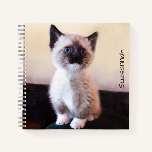 Carnet Cute Blue Eyed Pet Siamese Kitten espace (Devant)
