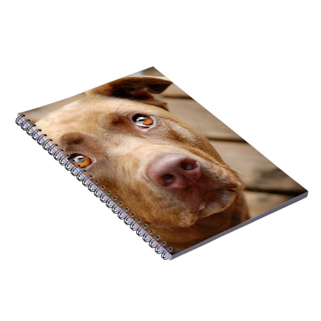 Carnet Cute chocolat Lab Pit Mix Portrait de chien 5 (Côté Droit)