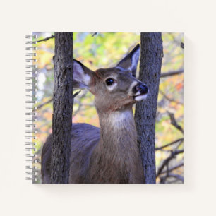 Carnet Cute Deer Close Up