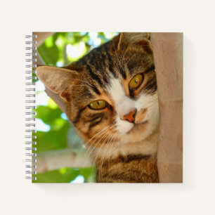 Carnet Cute Escalade de chat un arbre