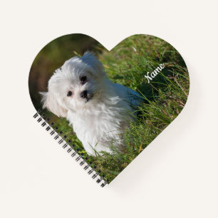 Carnet Cute Fluffy Blanc Maltais Chiot