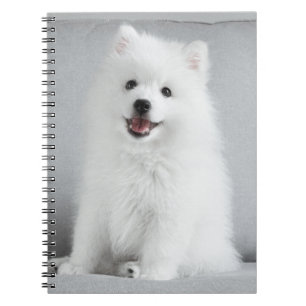 Carnet Cute Fluffy Japonais Spitz Puppy