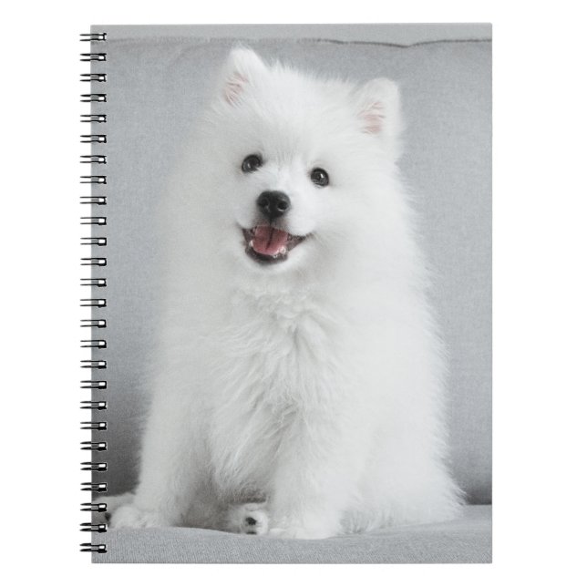 Carnet Cute Fluffy Japonais Spitz Puppy (Devant)