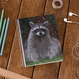 Carnet Cute Forest Raccoon Photo Faune