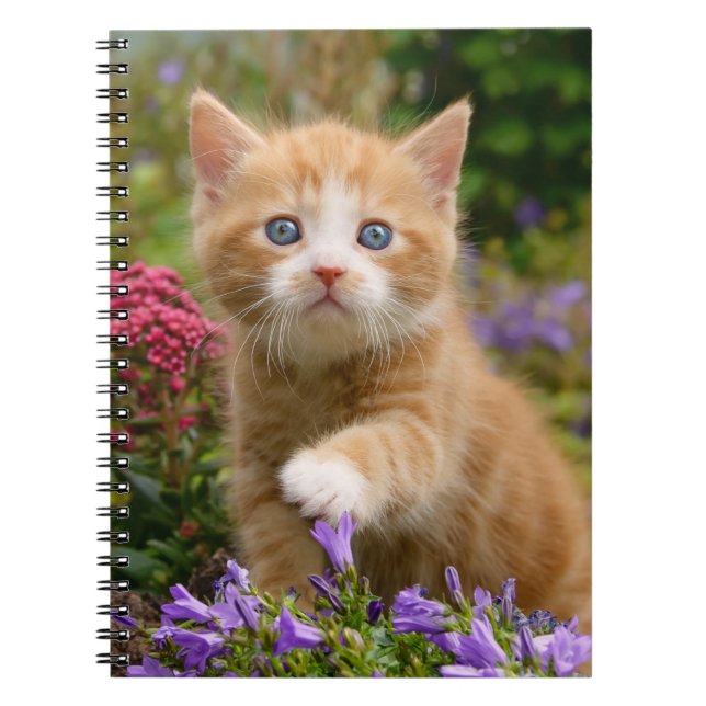 Carnet Cute ginger kitten in a garden (Devant)