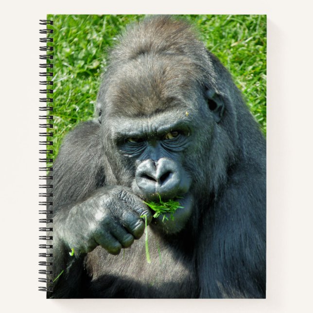 CARNET CUTE GORILLA (Devant)