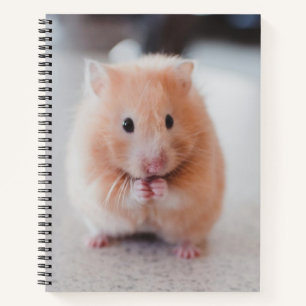Carnet Cute Hamster Aimer Animaux
