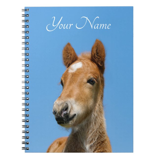 Carnet Cute Islandais Horse Foal Pony Head Front - Nom - (Devant)