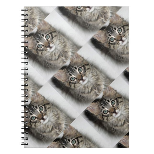 Carnet Cute Kitten Notebook (Devant)