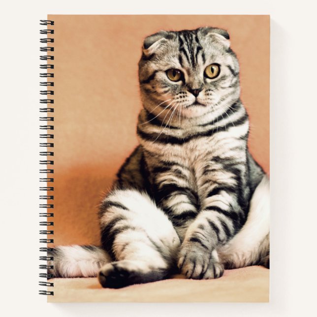 Carnet Cute Kitten S'Est Étendu (Devant)