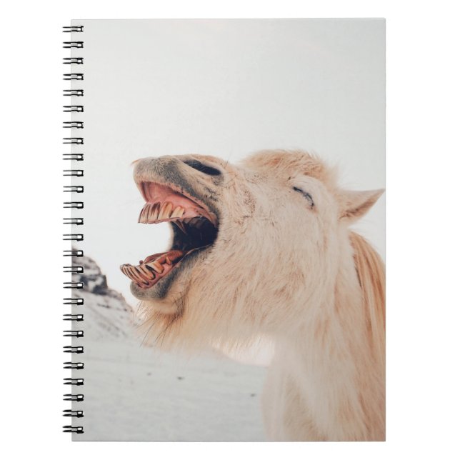 CARNET CUTE LAMA ALPACA RIRE (Devant)