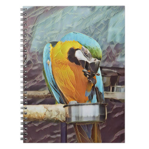 CARNET CUTE MACAW