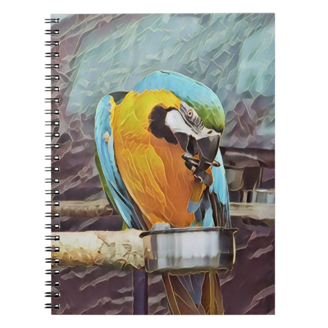 CARNET CUTE MACAW (Devant)