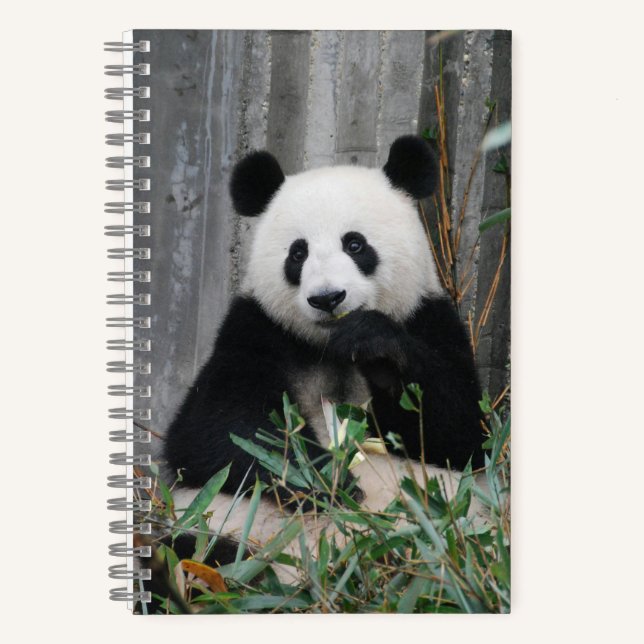 Carnet Cute panda (Recto)